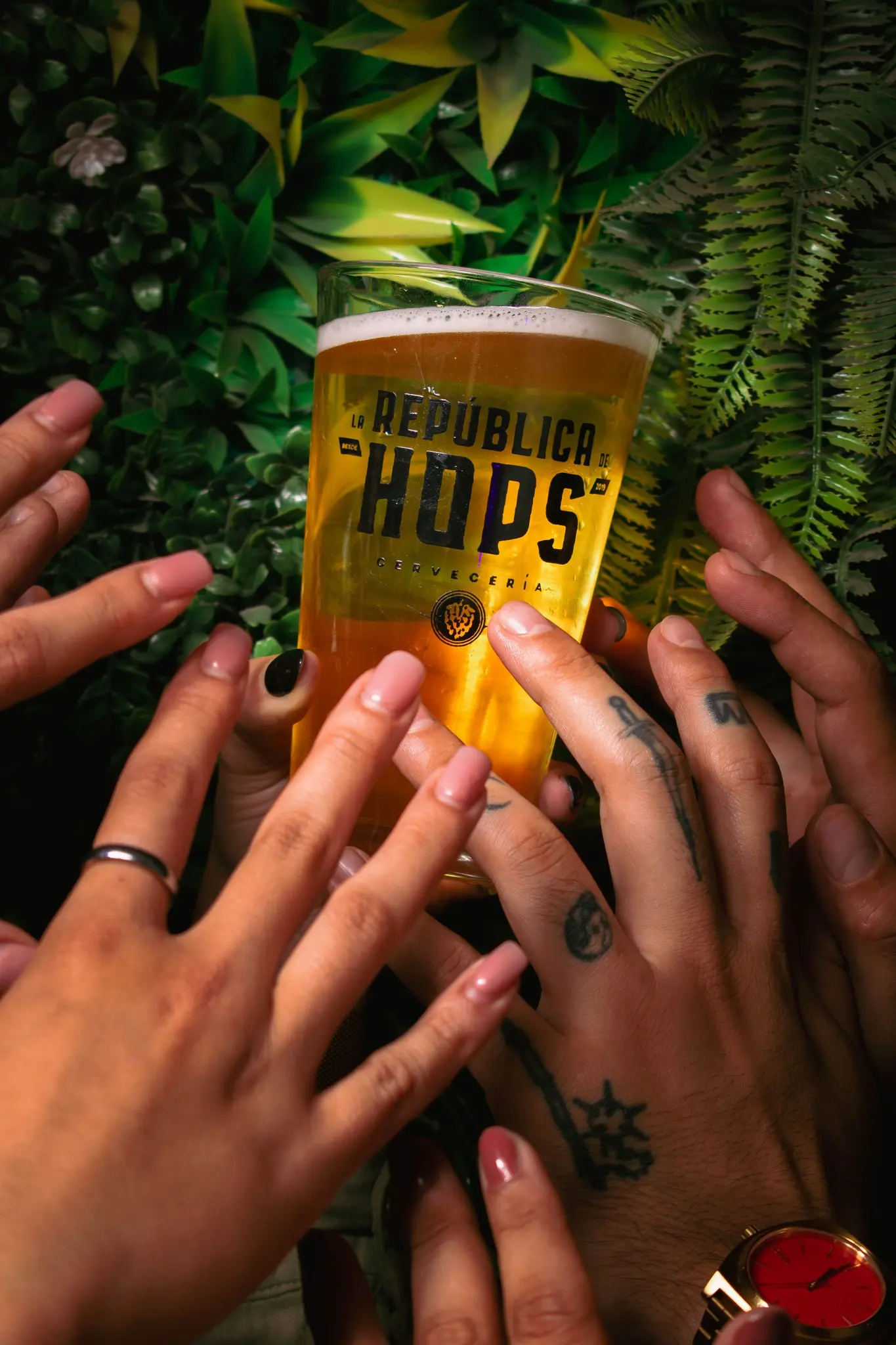 Un vaso de cerveza artesanal.